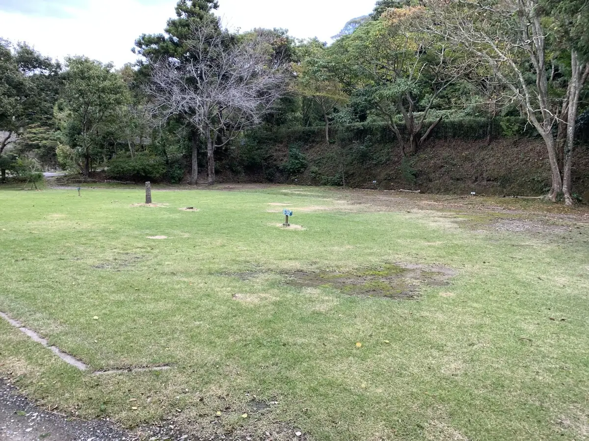 ワイルドキッズ岬オートキャンプ場の芝生サイト