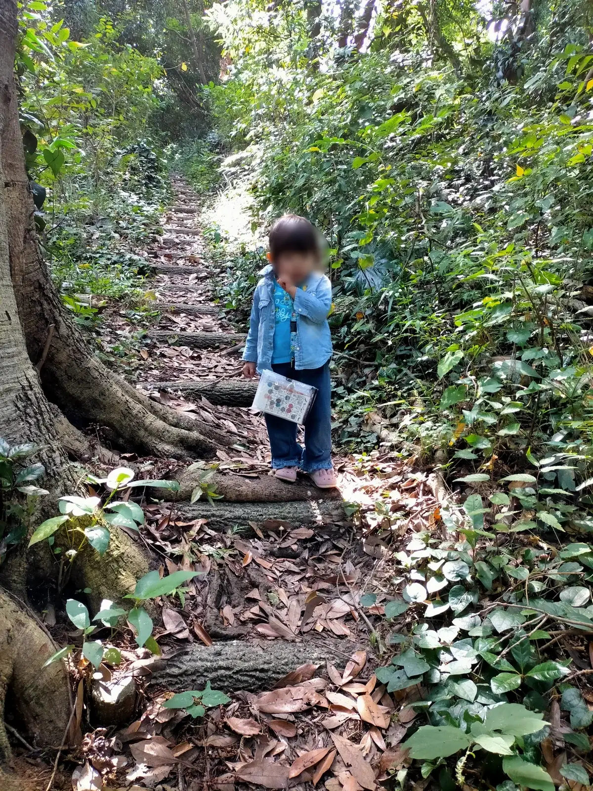大房岬自然公園で岬方面へ続く細い林道を歩く子ども