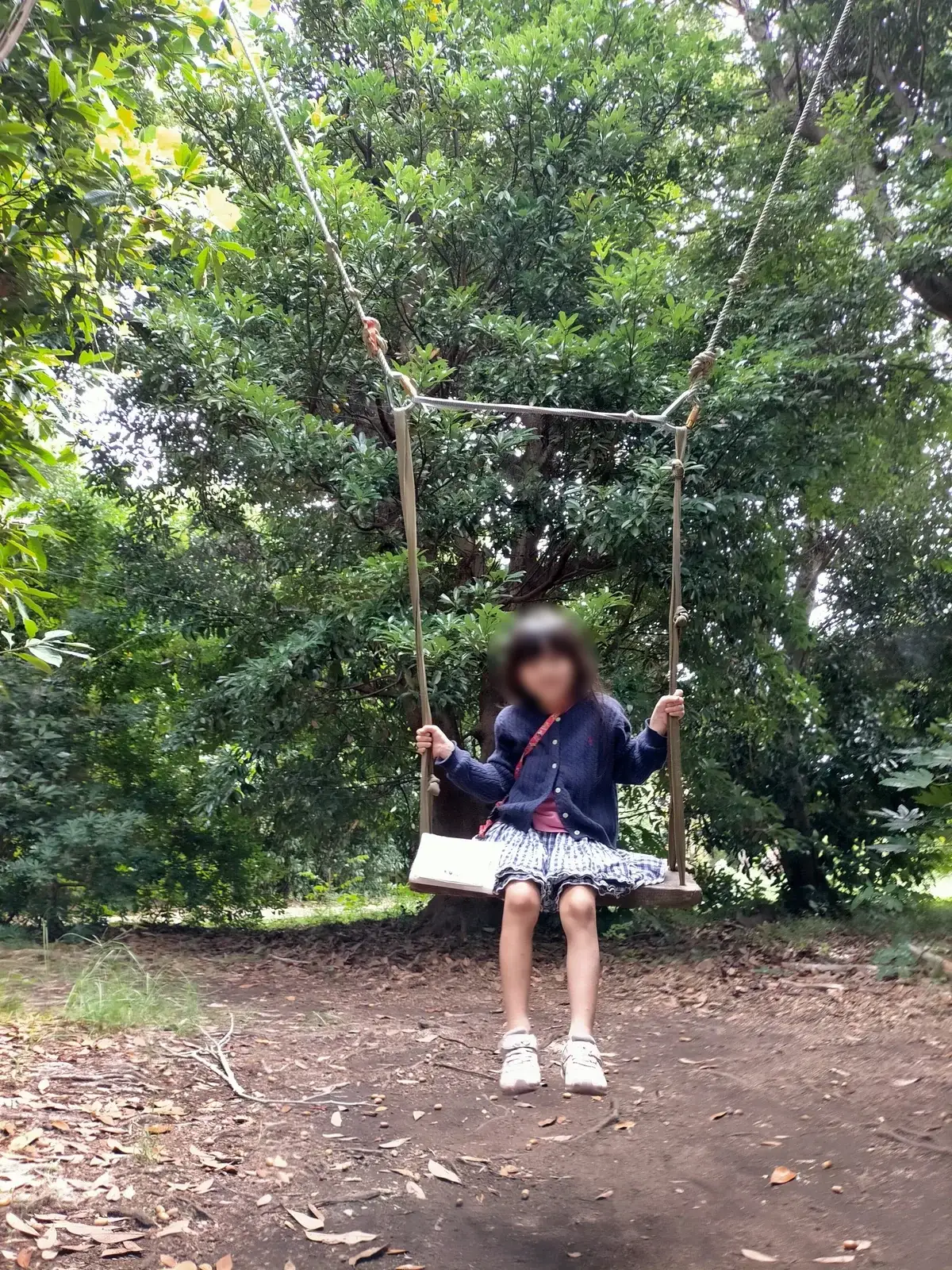 大房岬自然公園で木に吊られたブランコに乗る子ども