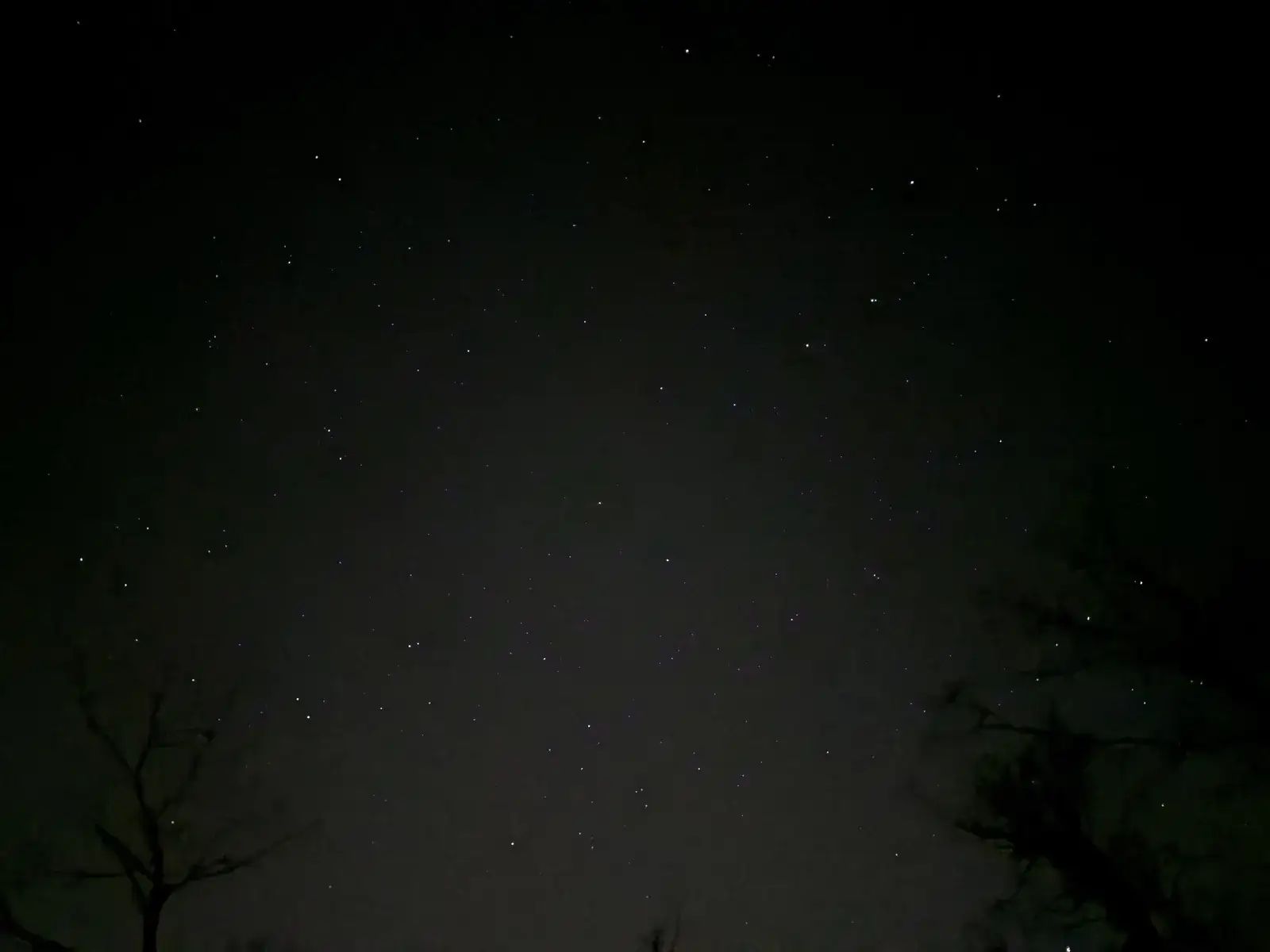 清和県民の森のキャンプサイトから見上げた3月下旬の星空