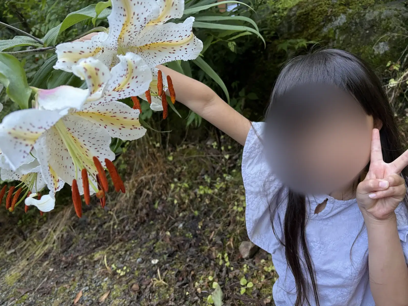 道志の森キャンプ場で植物を観察する子ども