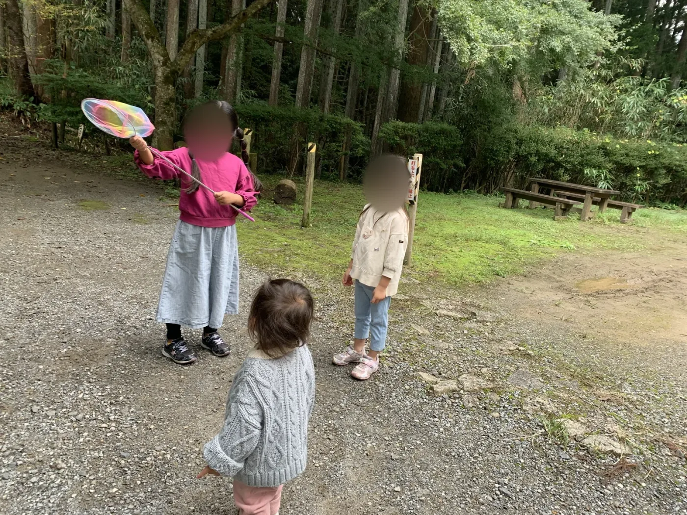 大多喜県民の森の場内で遊ぶ子どもたち